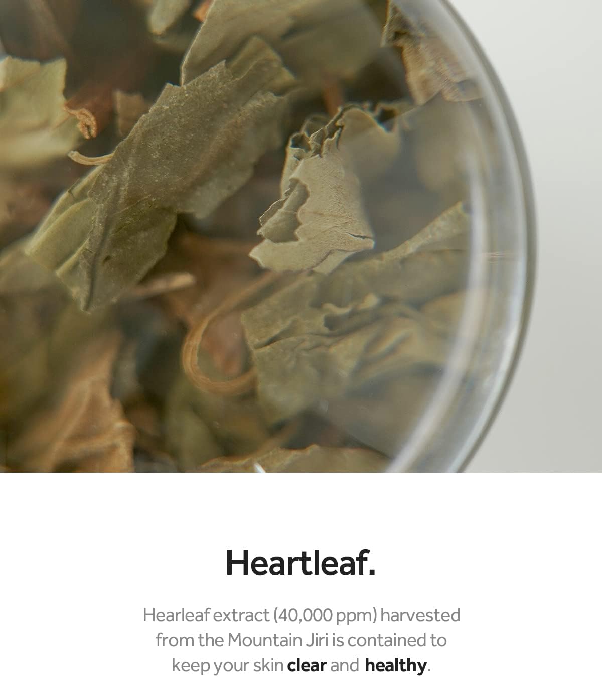 Abib Heartleaf Spot Pad Calming Touch 80 Pads
