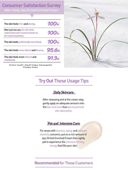 Innisfree Jeju Orchid Enriched Cream