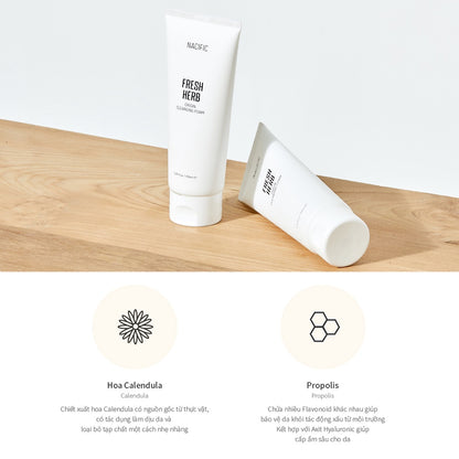 NACIFIC Fresh Herb Origin Cleansing Foam