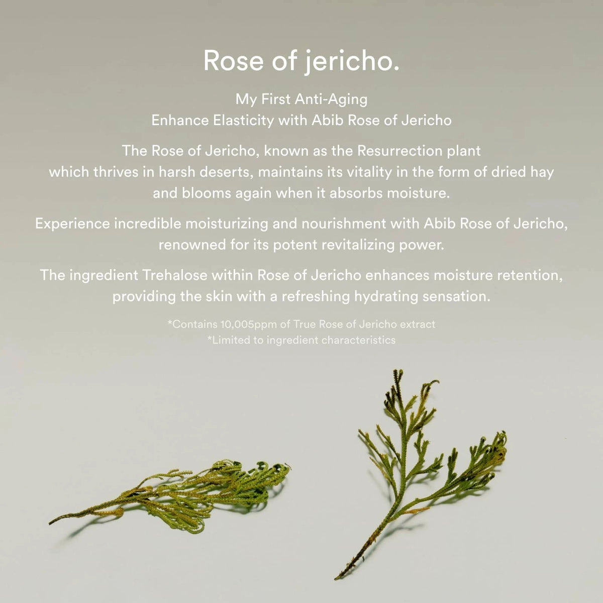 Abib Collagen eye crème Jericho rose tube