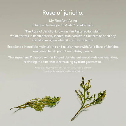 Abib Collagen eye crème Jericho rose tube